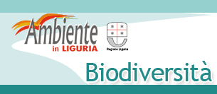 Biodiversit�