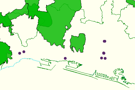 overview